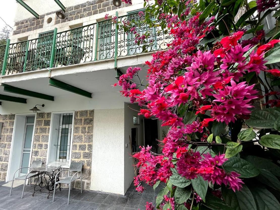 Berenice Winery Hotel ティベリア エクステリア 写真
