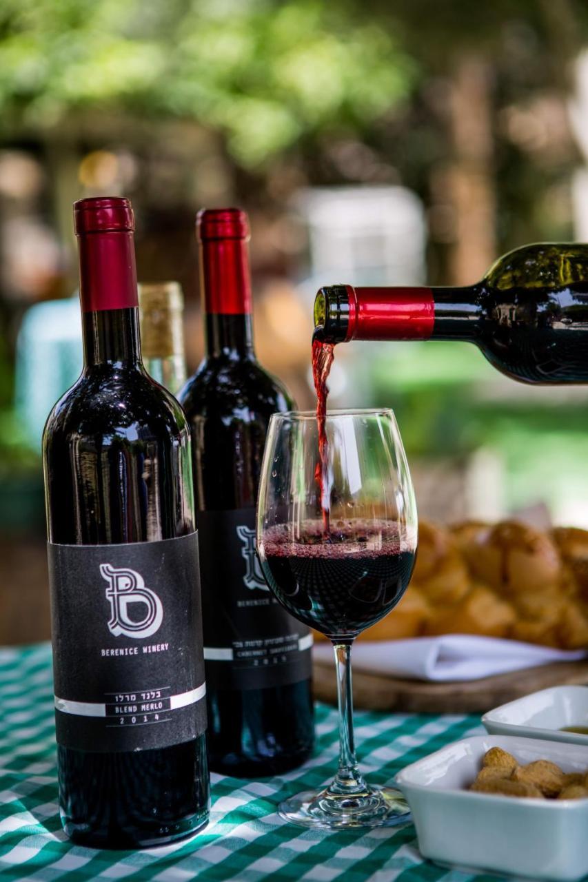 Berenice Winery Hotel ティベリア エクステリア 写真