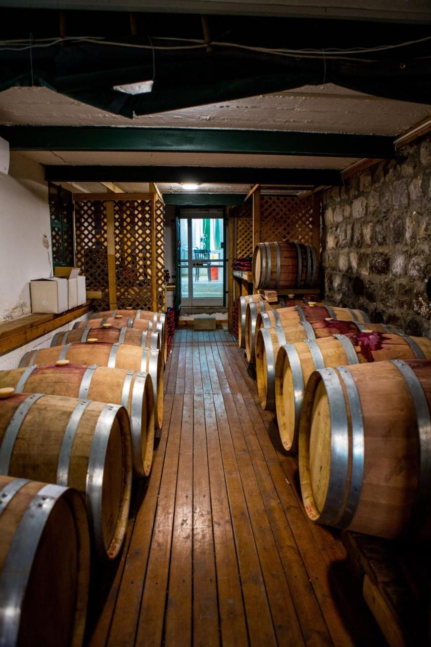 Berenice Winery Hotel ティベリア エクステリア 写真
