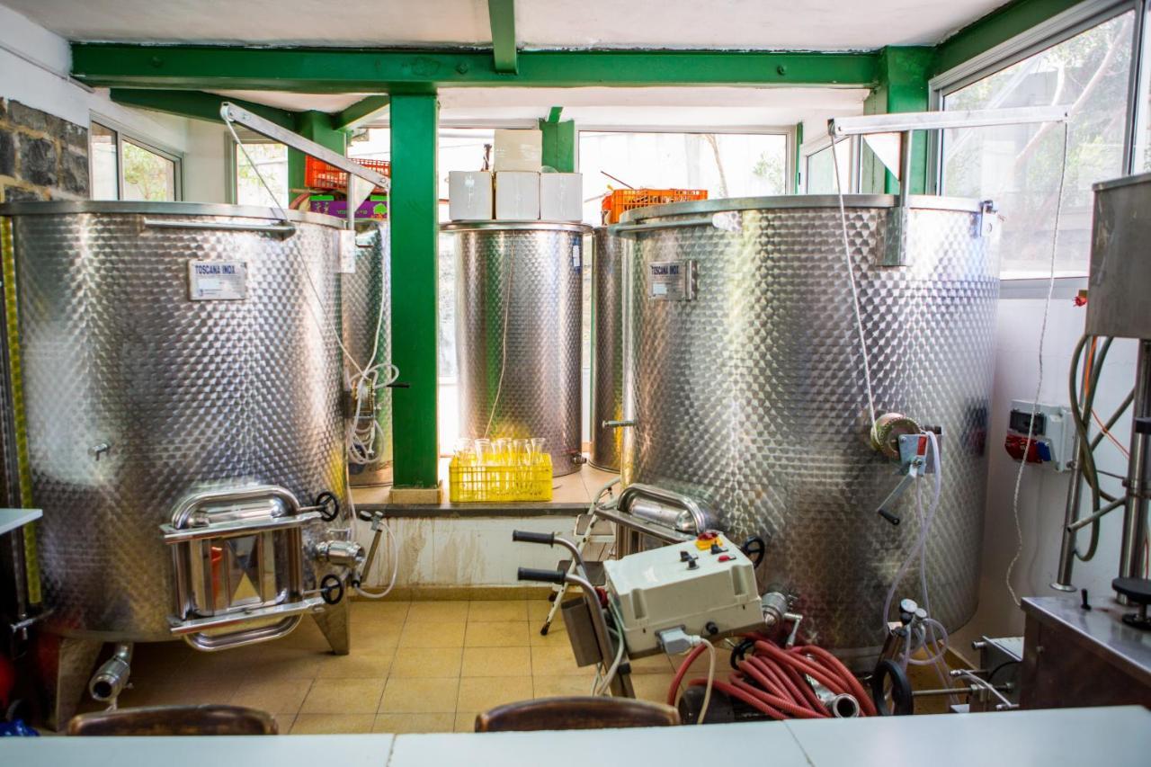 Berenice Winery Hotel ティベリア エクステリア 写真